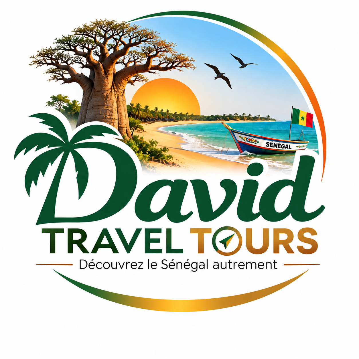 David Travel Tours