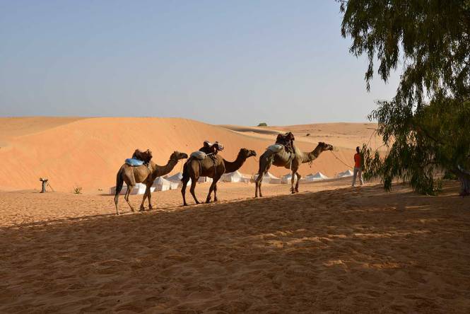 excursion désert de Lompoul Sénégal