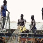 visiter le port de pêche de Mbour