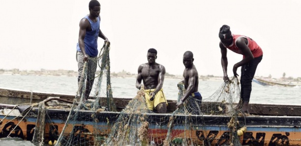 visiter le port de pêche de Mbour
