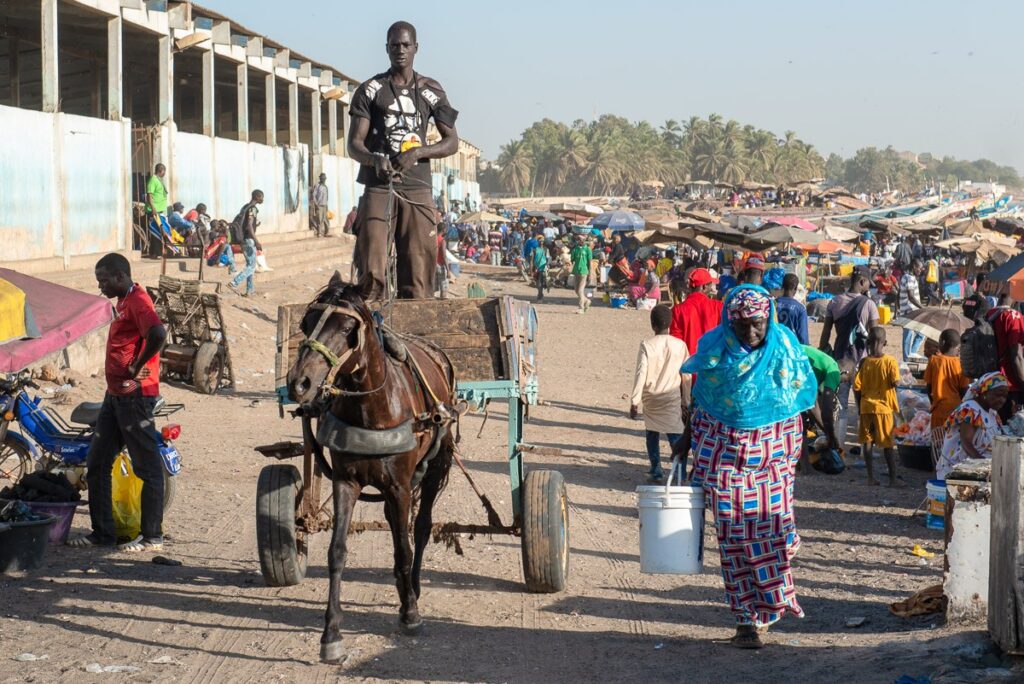 Découverte du port de pêche de Mbour