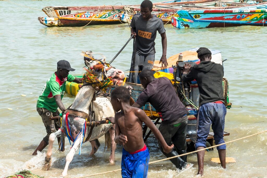 visiter le port de pêche de Mbour