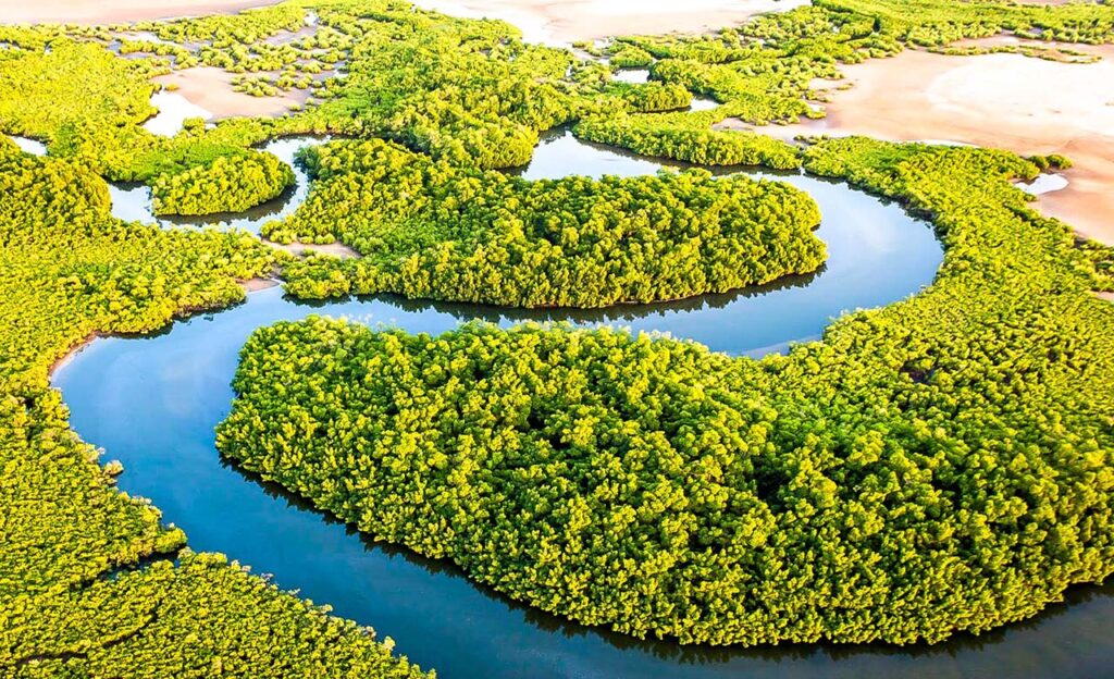 Journée Îles du Saloum