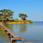 excursion delta du Sine Saloum depuis RIU Baobab