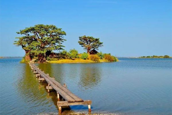 excursion delta du Sine Saloum depuis RIU Baobab
