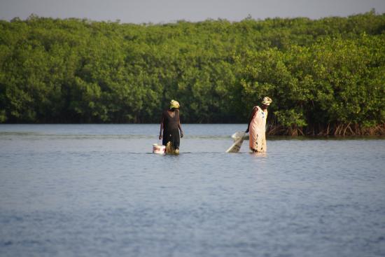 Balade en pirogue Lagune de la Somone