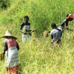 visiter la Casamance