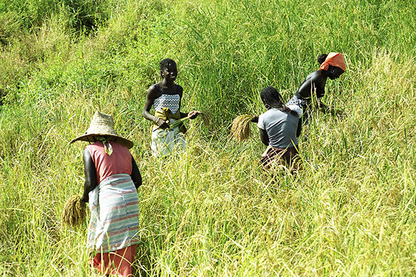 visiter la Casamance