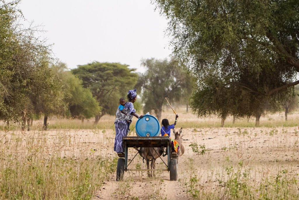 voyager au Sénégal sans parler wolof